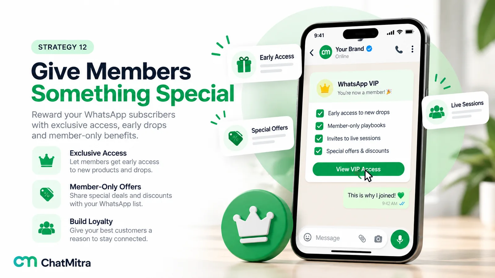 A WhatsApp message from a brand telling a new member they are in the WhatsApp VIP list, with benefits of early access to new drops, member-only playbooks, invites to live sessions and special offers, and a View VIP Access button