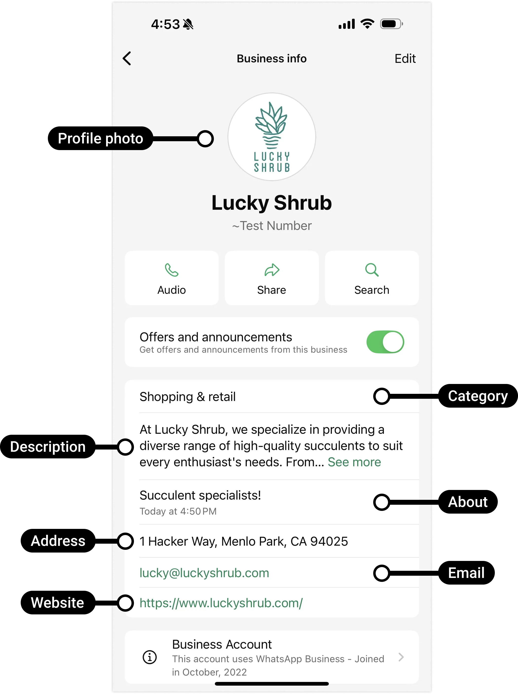 A WhatsApp business profile card as a customer sees it, showing the logo, name, and business details