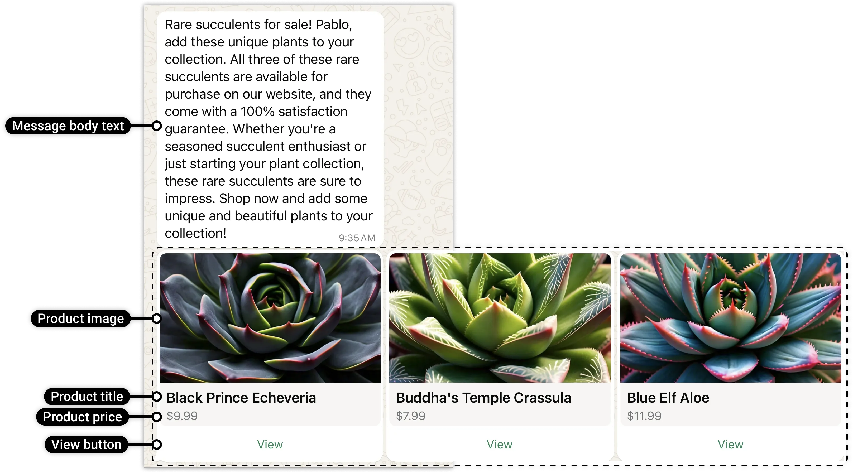 A carousel card using an SPM View button that opens product details in chat