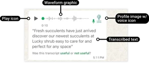 Audio message on WhatsApp