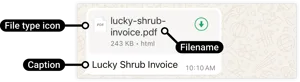 Document message on WhatsApp