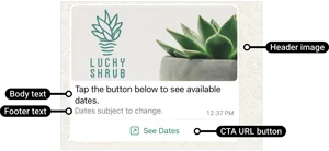 Interactive message with buttons on WhatsApp