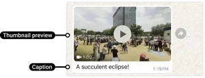 Video message on WhatsApp